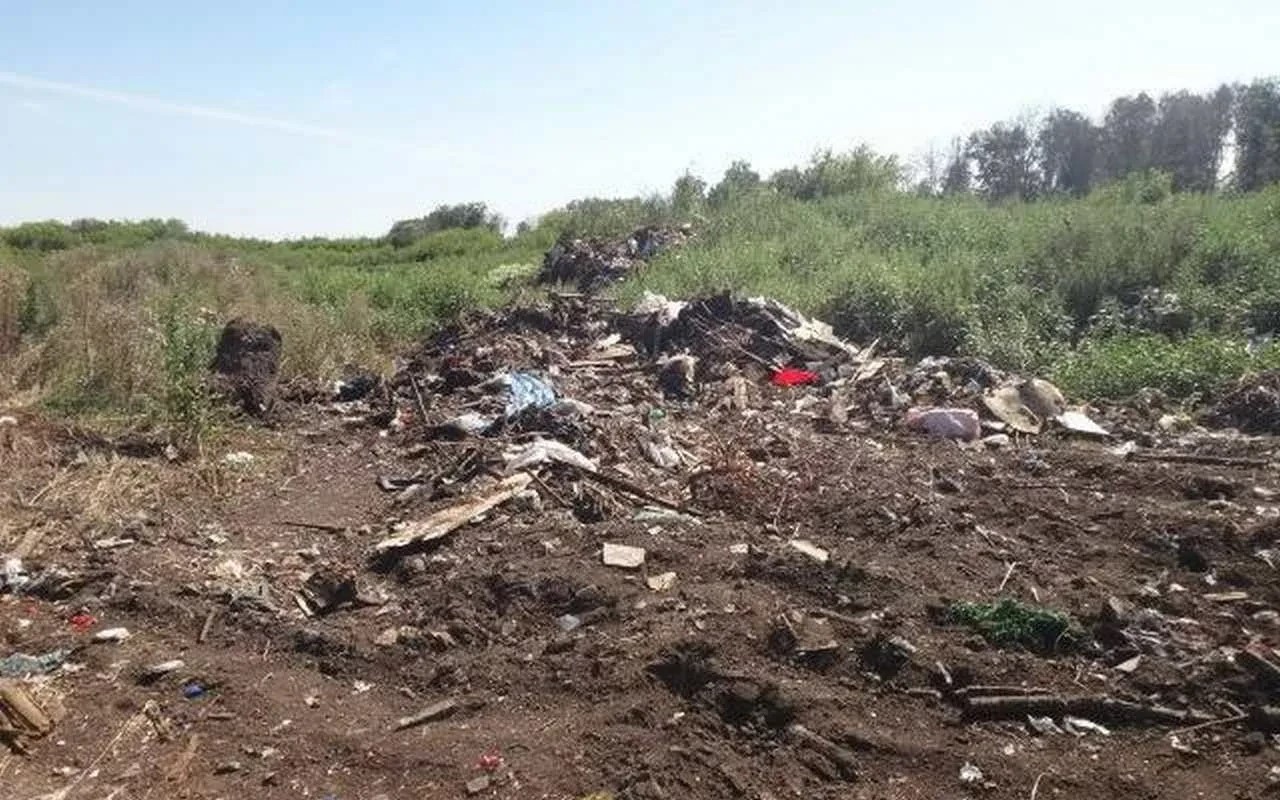 Саратовец заплатит 735 тысяч рублей за свалку на своём земельном участке